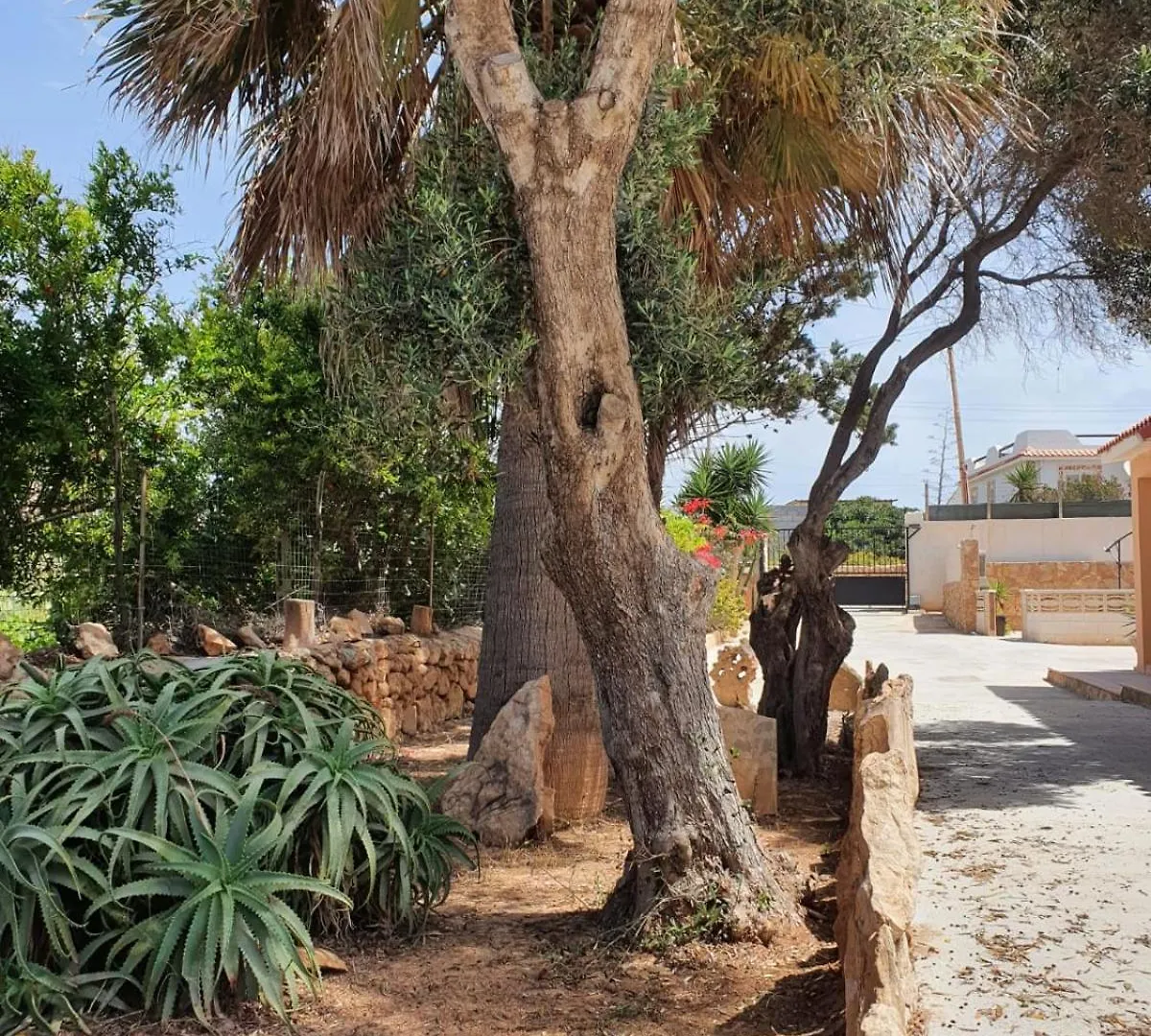 Villa Migliore Lampedusa Casa vacanze