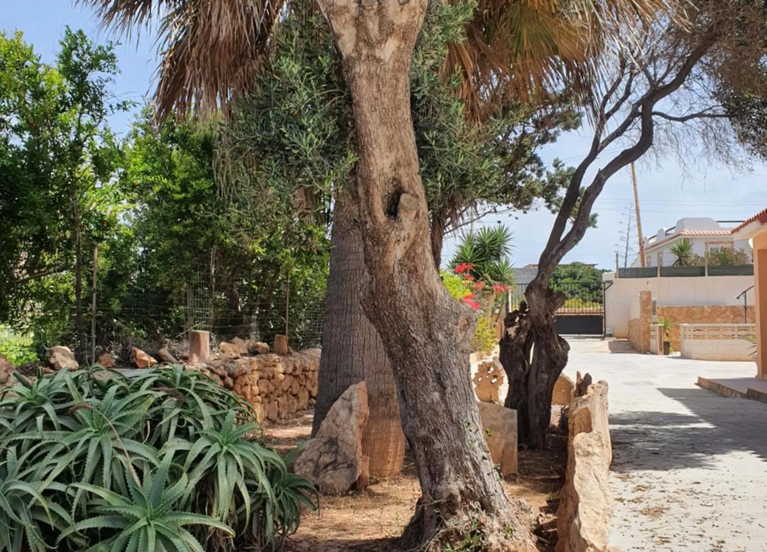 Casa vacanze Villa Migliore Lampedusa